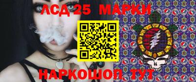 шишки Донской