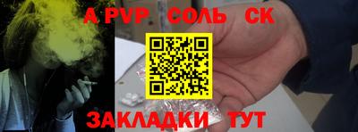 шишки Донской