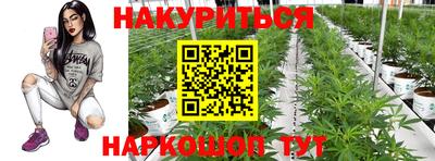шишки Донской