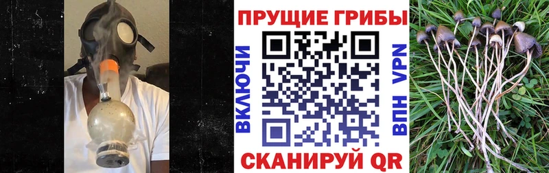 Галлюциногенные грибы мухоморы  kraken сайт  Мариинск 